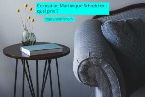 colocation Martinique Schoelcher prix