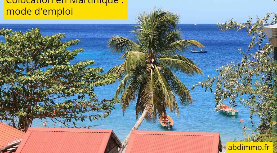 Colocation en Martinique