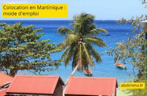 Colocation en Martinique