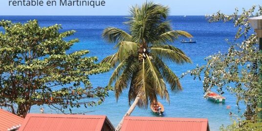 investissement locatif sûr et rentable Martinique